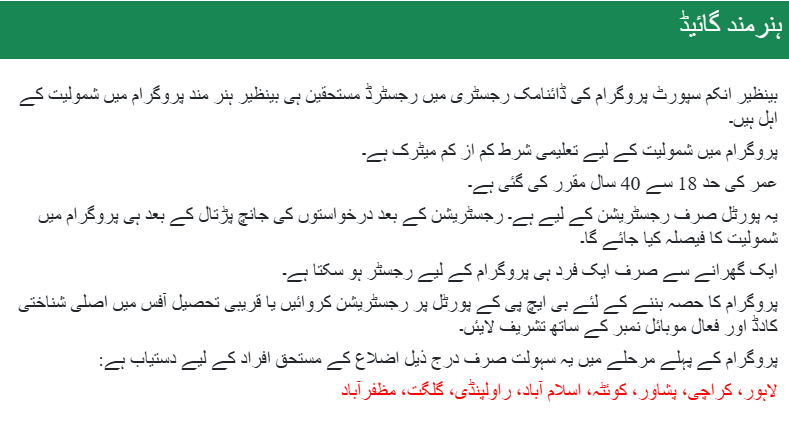 Benazir Hunarmand Programme